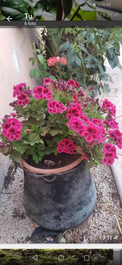 La Dimora Di Nonno Nuccio Ragusa Exterior foto