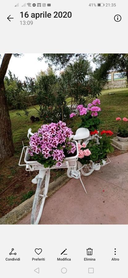 La Dimora Di Nonno Nuccio Ragusa Exterior foto