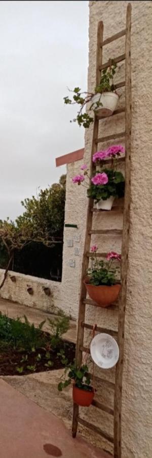 La Dimora Di Nonno Nuccio Ragusa Exterior foto