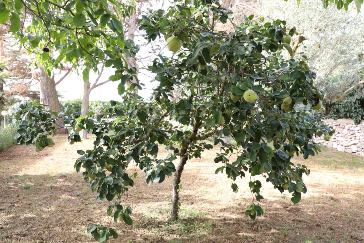 La Dimora Di Nonno Nuccio Ragusa Exterior foto