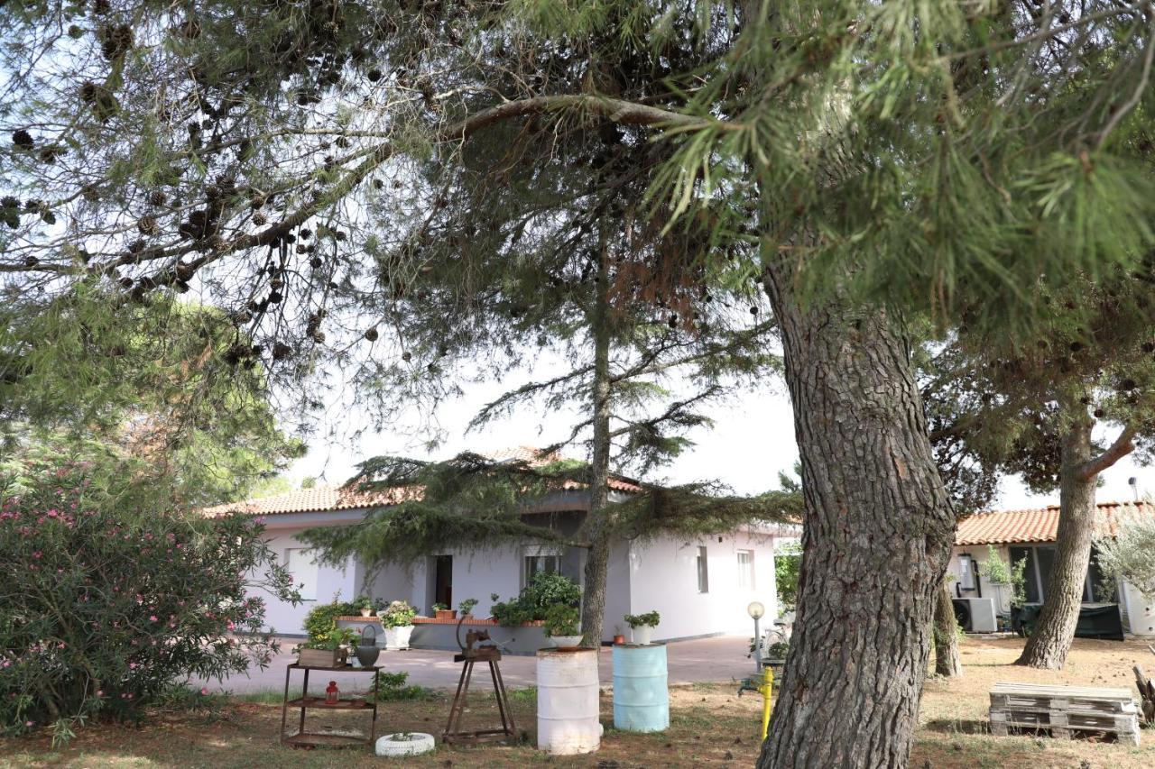 La Dimora Di Nonno Nuccio Ragusa Exterior foto