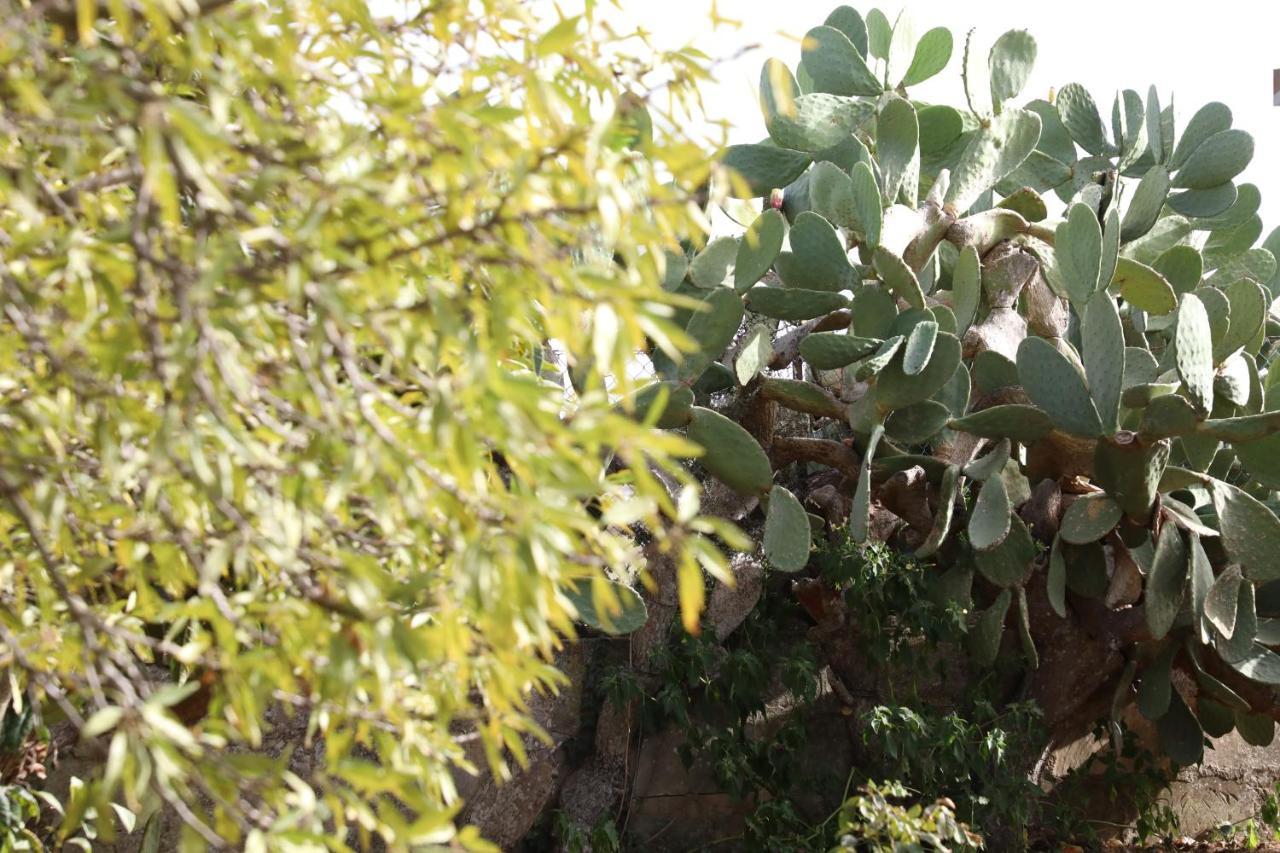 La Dimora Di Nonno Nuccio Ragusa Exterior foto
