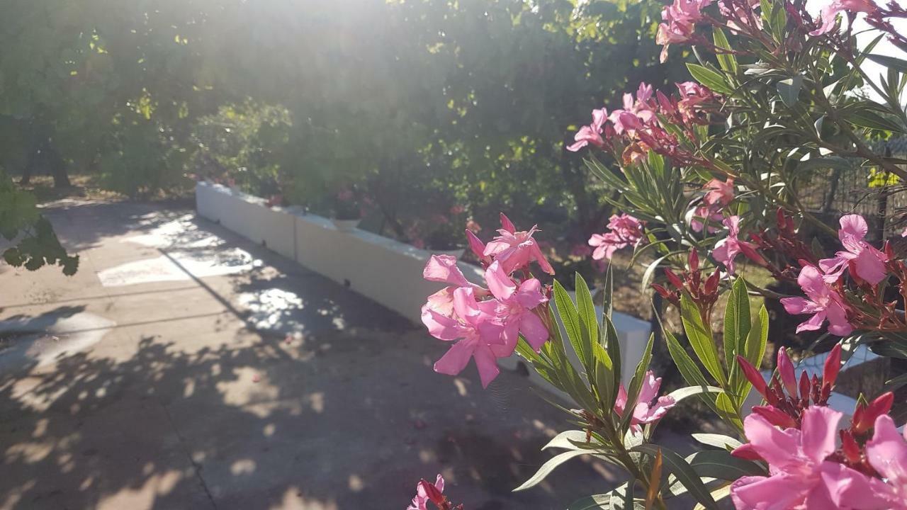 La Dimora Di Nonno Nuccio Ragusa Exterior foto